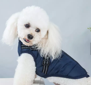 Dogs&Co Warme  Hondenjas Navy