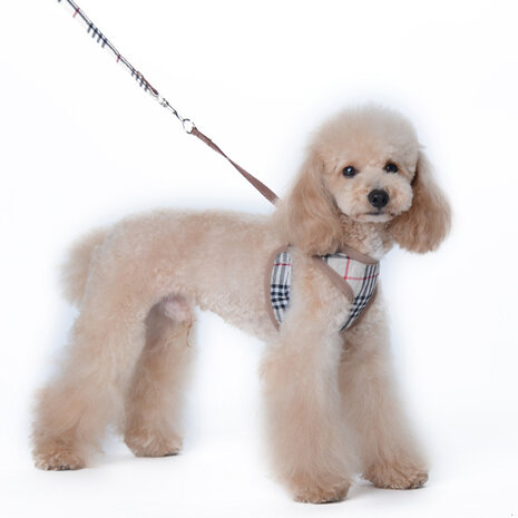 Dogs&Co Puppytuigje / Hondentuigje inclusief riem - ruit design 