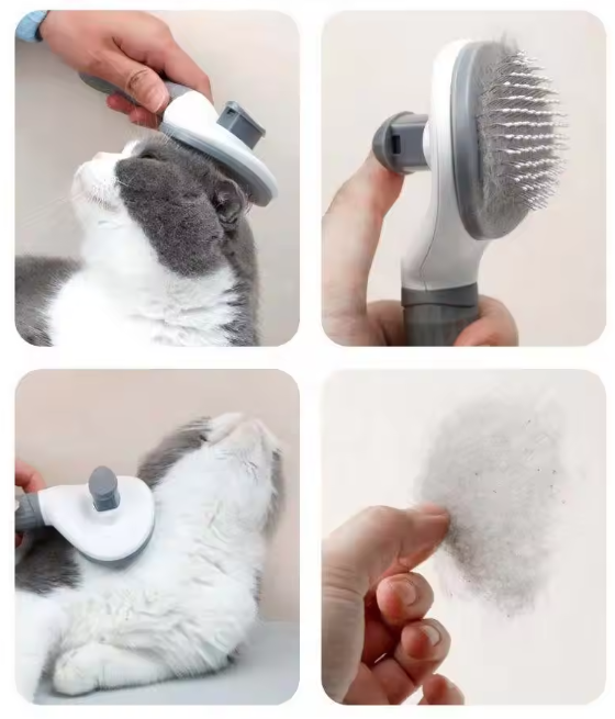 Kattenborstel Grijs