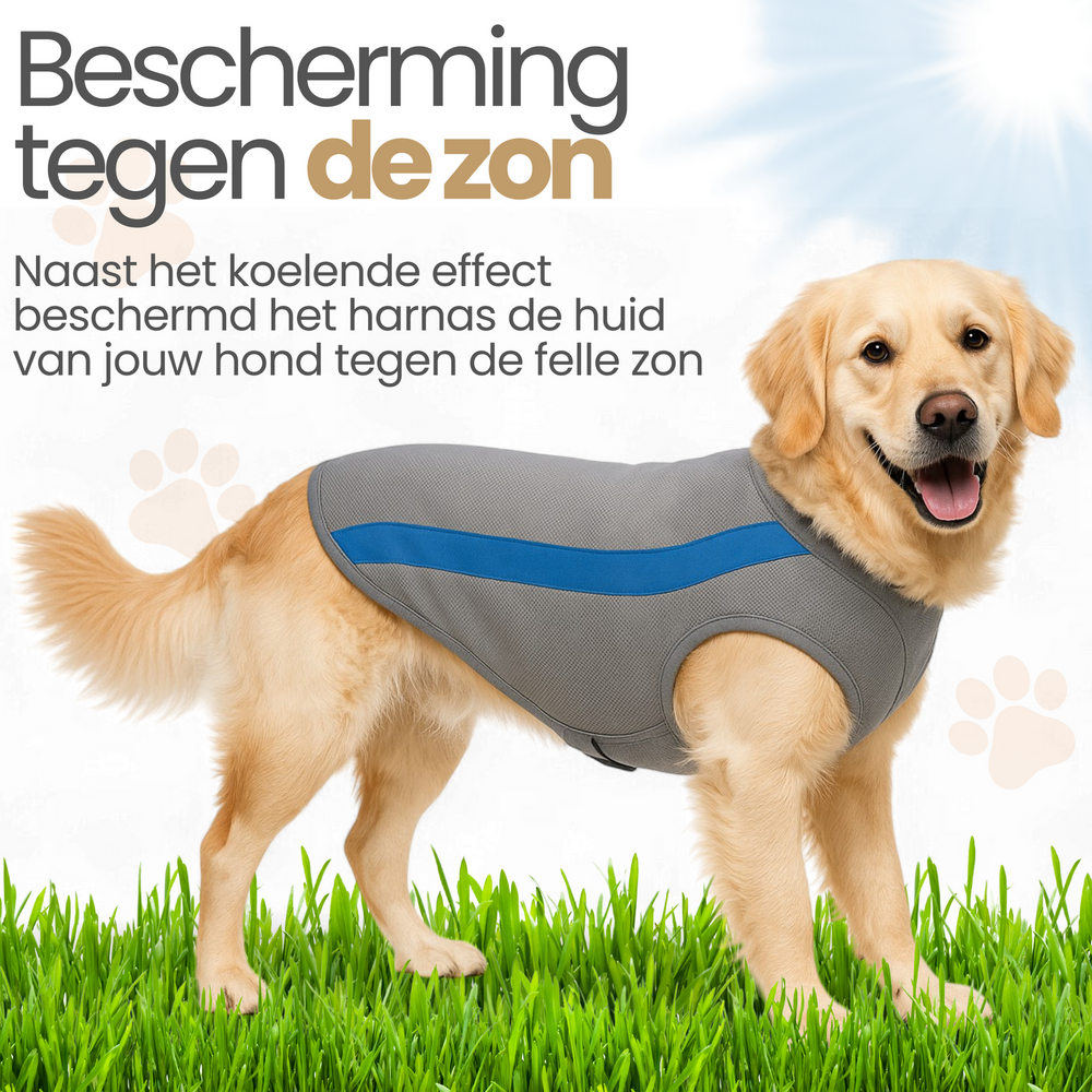 Verkoelend Ademend Hondentuig Ice Blauw 
