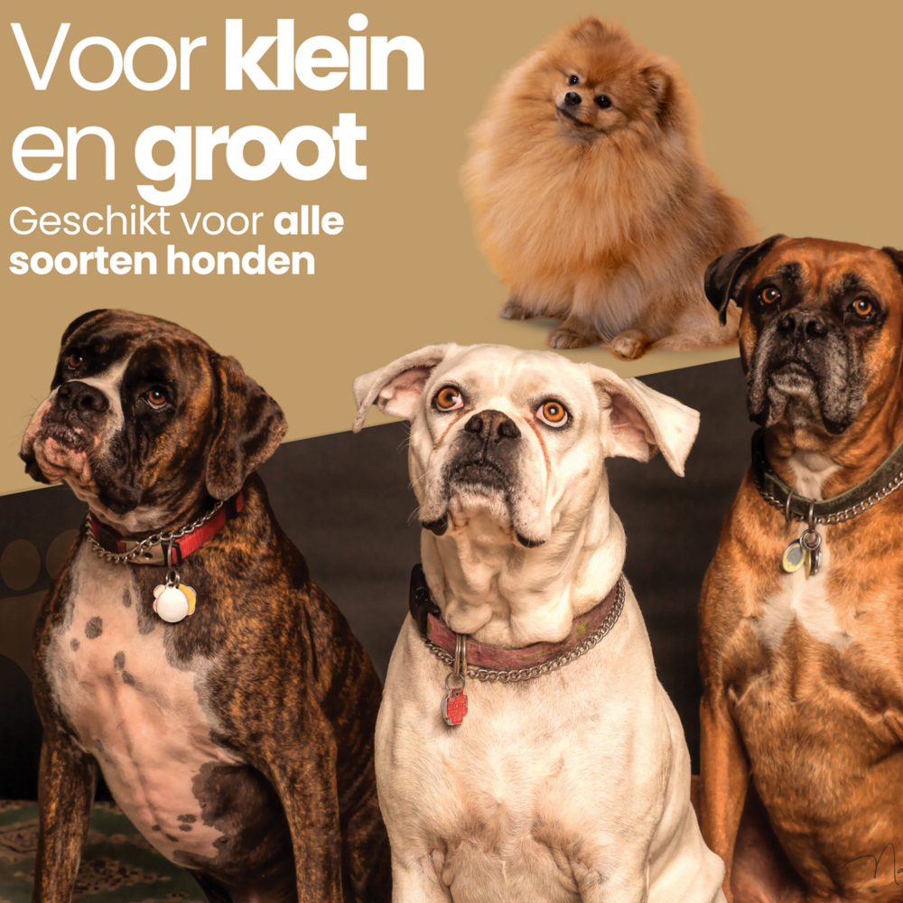 Hondenzwembad blauw 120x30 Dogs&amp;Co