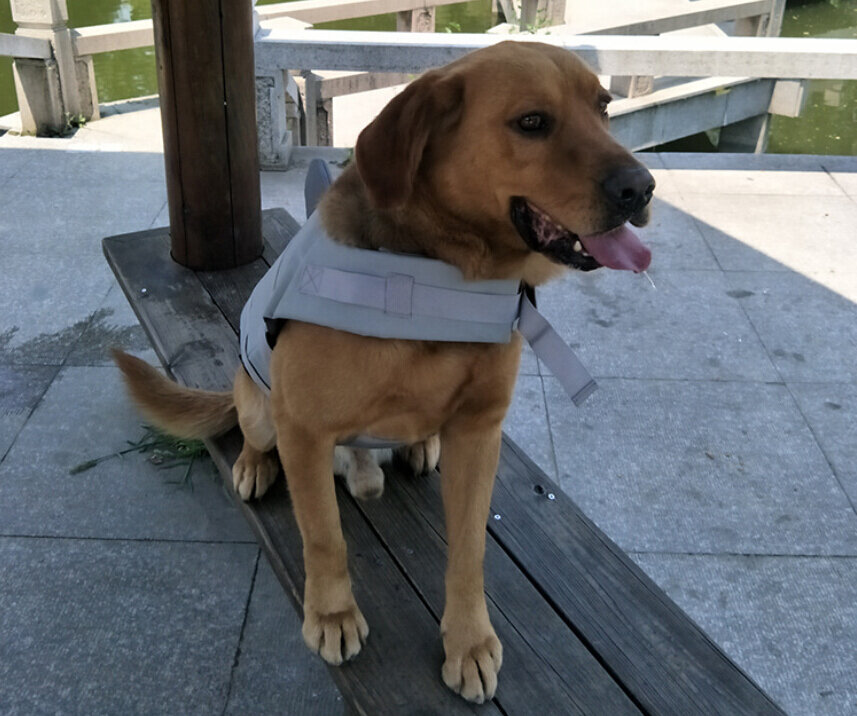 Dogs&amp;Co Zwemvest HAAI