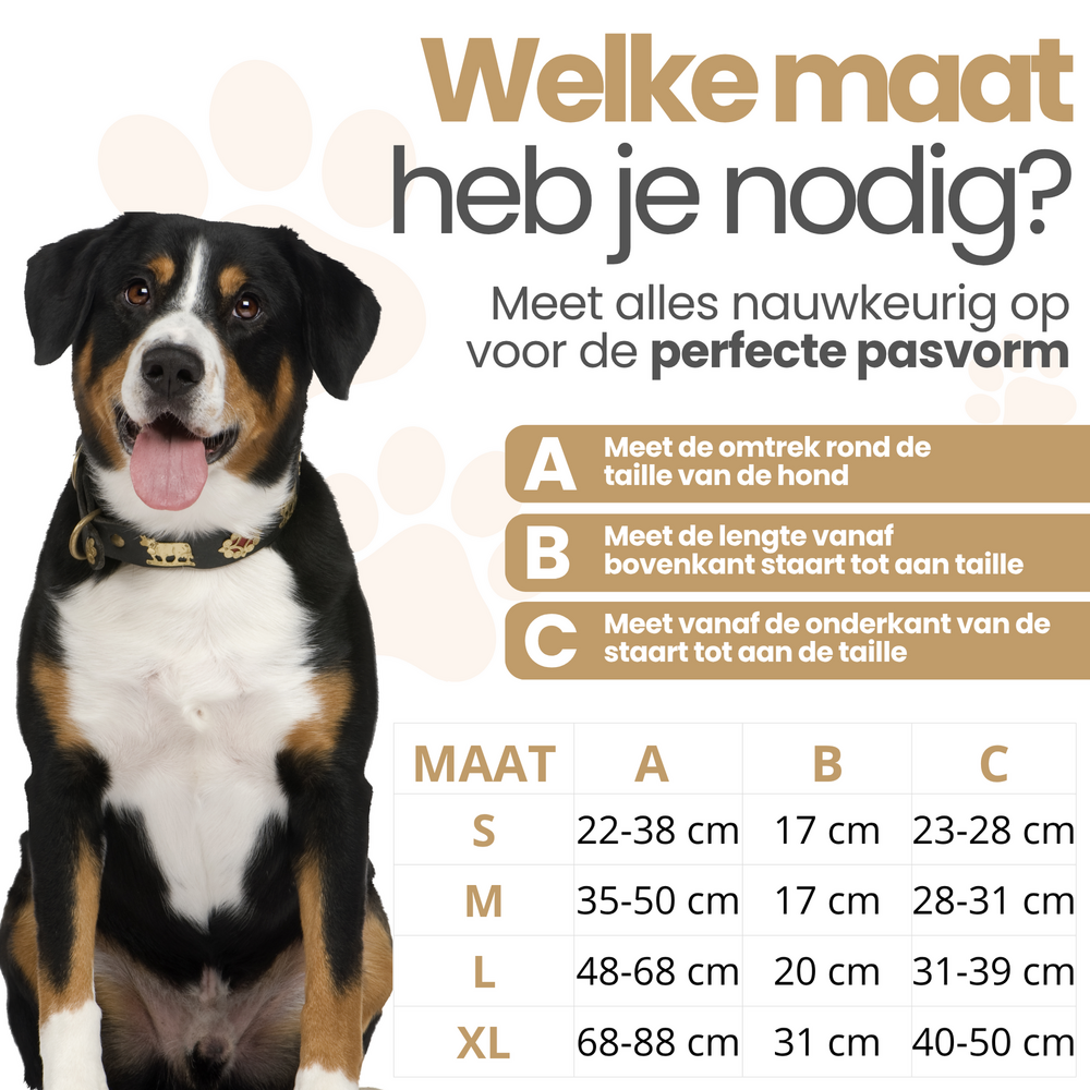 Dogs&amp;Co Loopsheidbroekje Beige