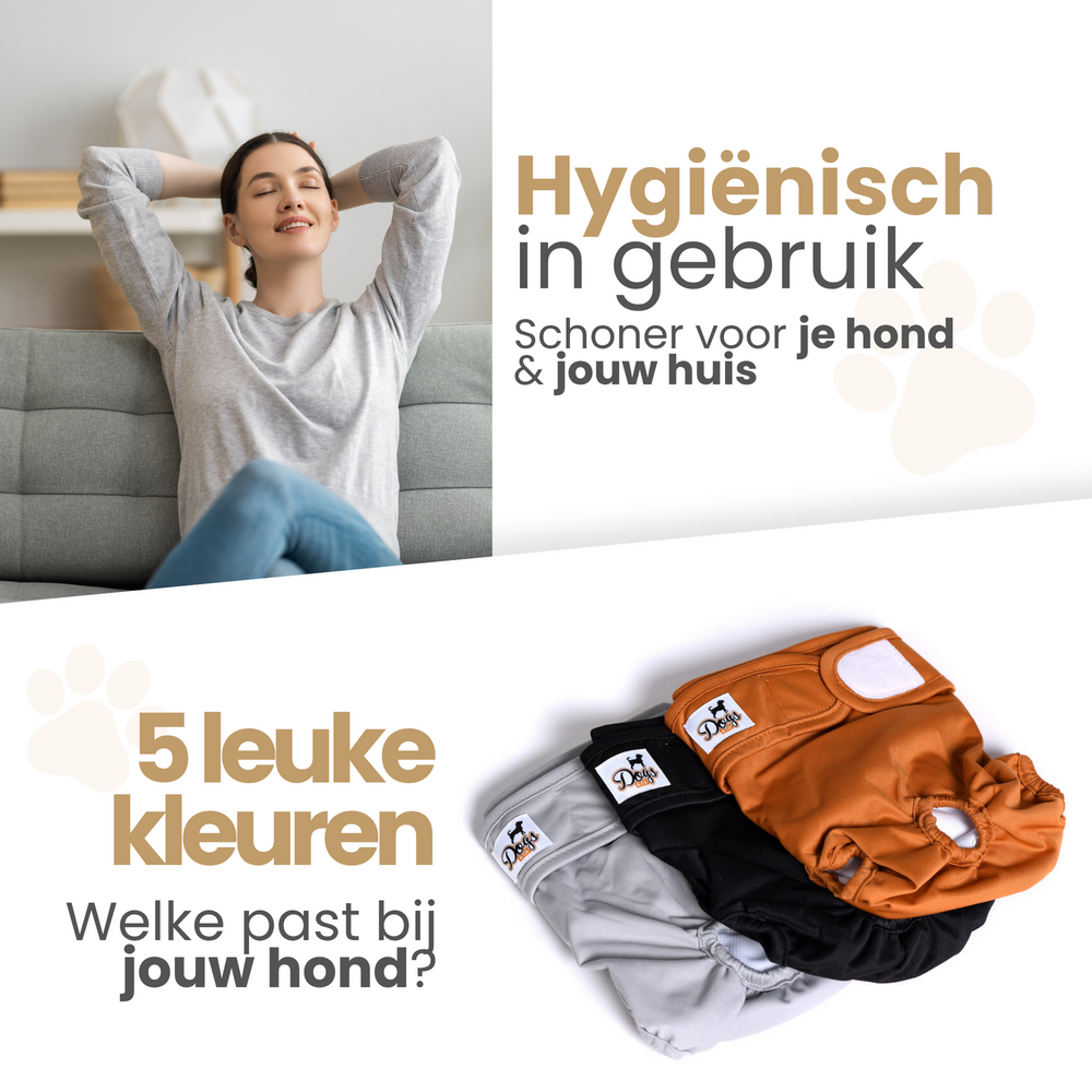 Dogs&amp;Co&reg; Loopsheidbroekje Beige - Diverse maten