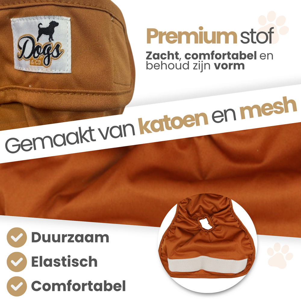 Dogs&amp;Co Loopsheidbroekje Beige