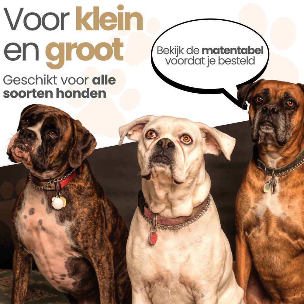 Dogs&amp;Co Loopsheidbroekje Beige