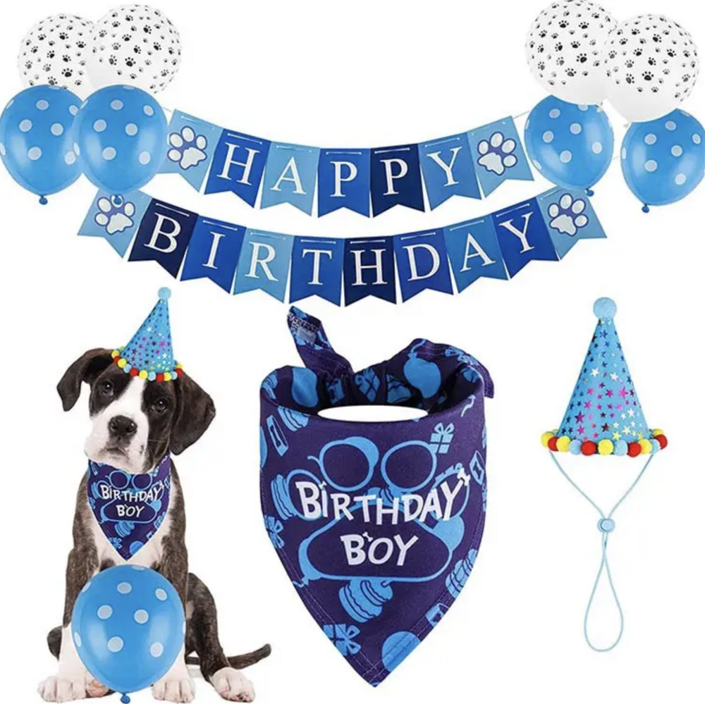 Verjaardags set voor de hond blauw 