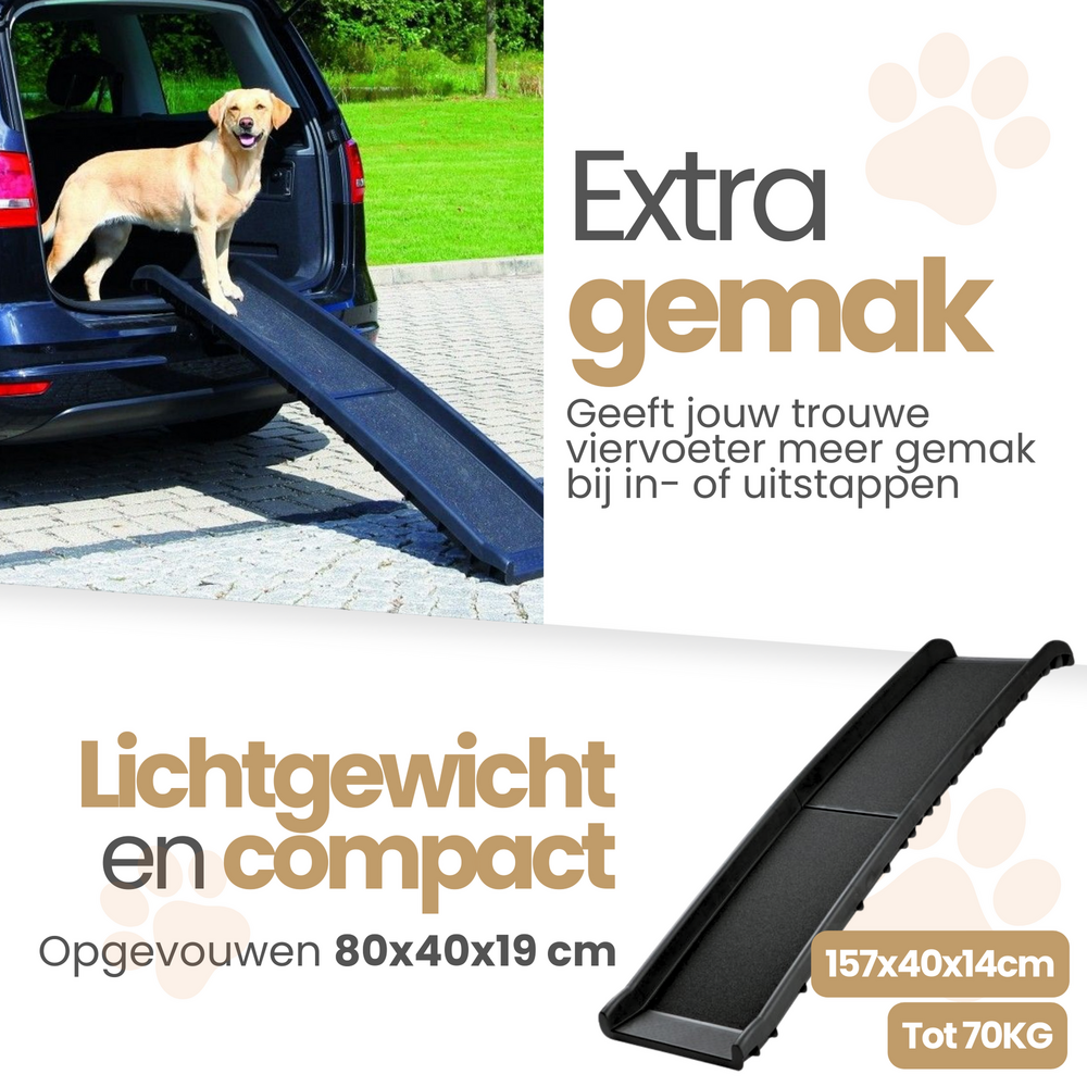 Auto Loopplank  Hond 157x40x14cm 