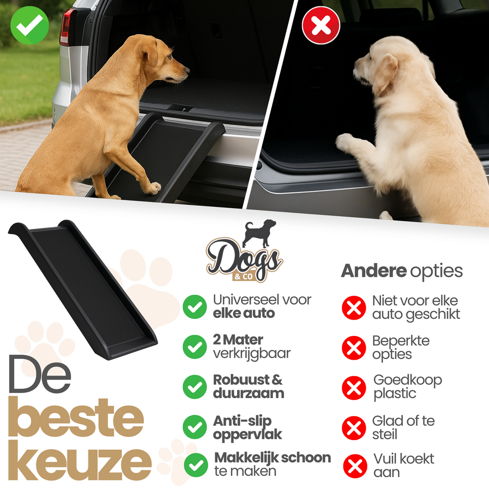 Auto Loopplank  Hond 157x40x14cm 
