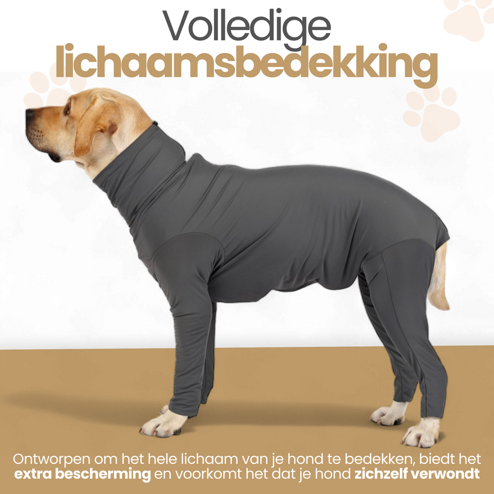 Medisch Bodysuit - Operatie jumpsuit Turquoise - Operatiepak voor de hond Turquoise