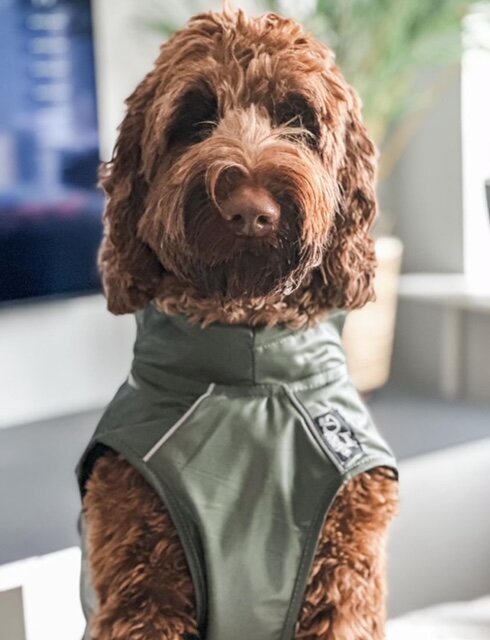 Dogs&amp;Co&reg; Honden Regenjas Raindog Groen