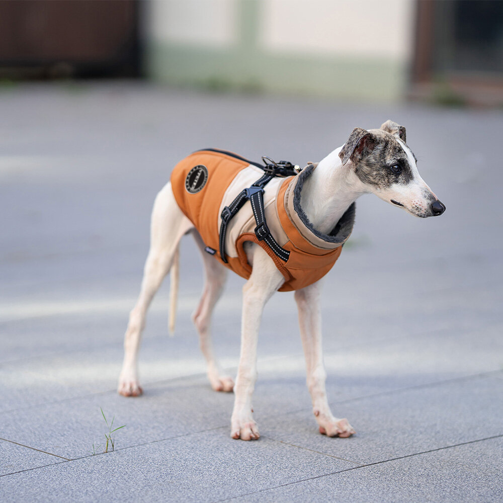 Dogs&amp;Co Warme  Hondenjas Okergeel  2026 model 