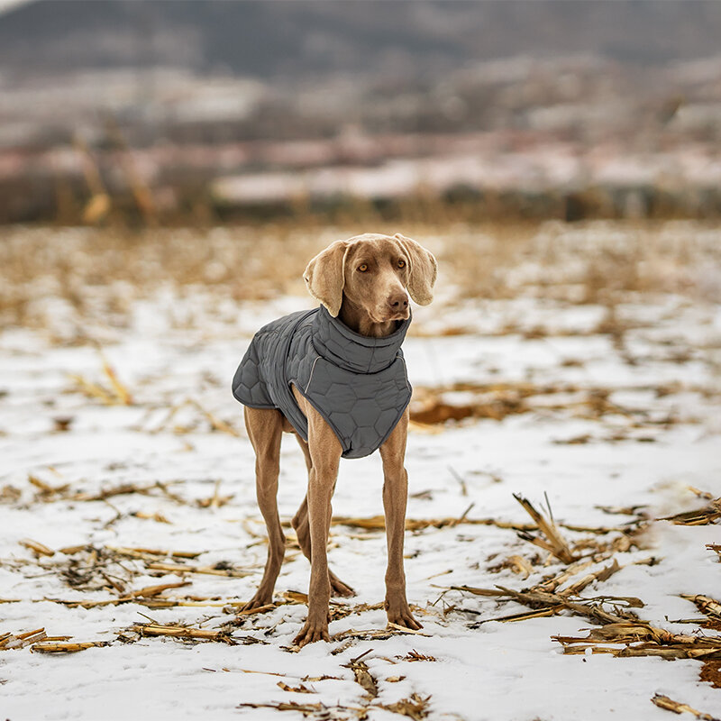 Dogs&amp;Co&reg; Honden Winterjas Grijs Quilt voor grotere honden 