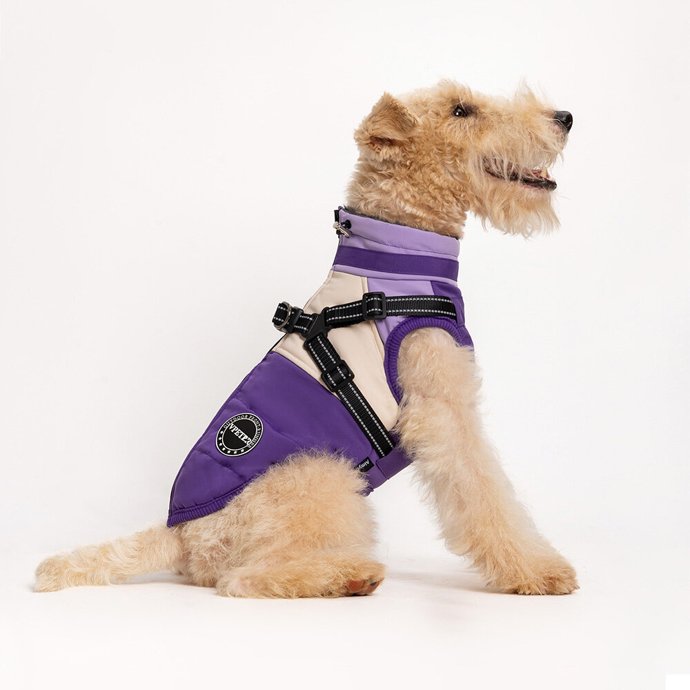 Dogs&amp;Co Warme  Hondenjas Paars 2026 model 