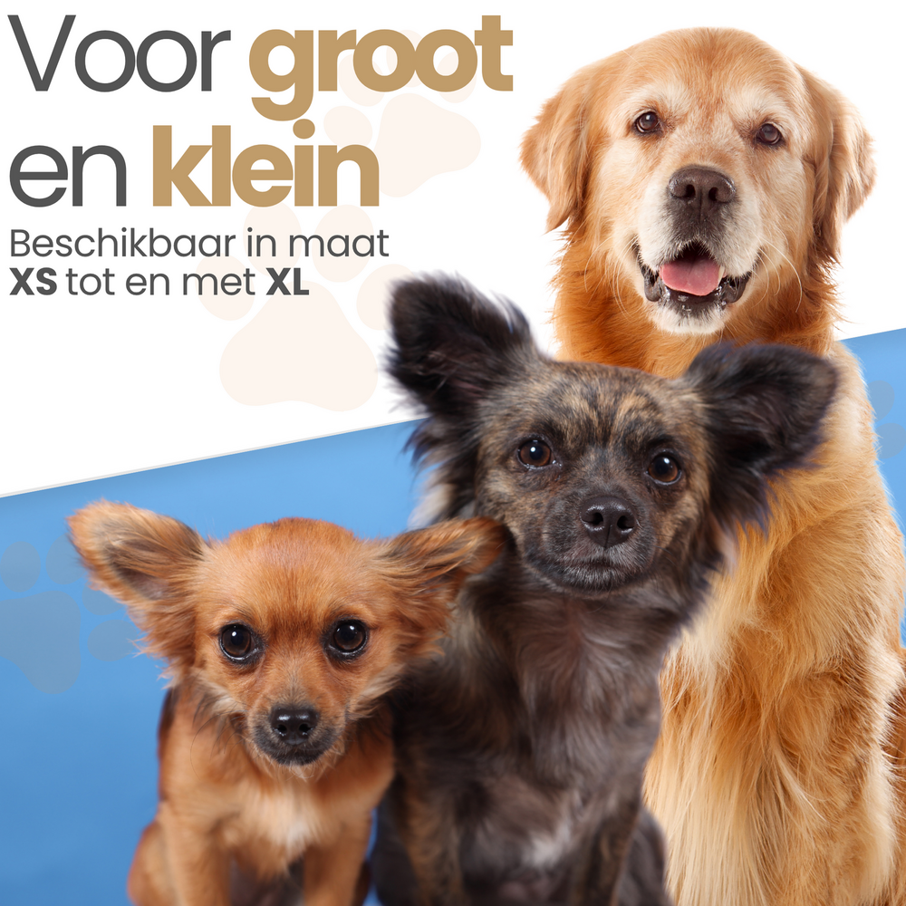 Dogs&amp;Co Honden Regenjas Raindog Grey