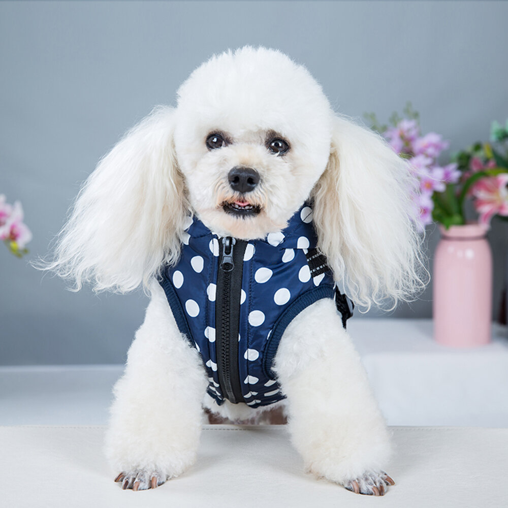 Dogs&amp;Co&reg; Warme  Hondenjas Navy Stip