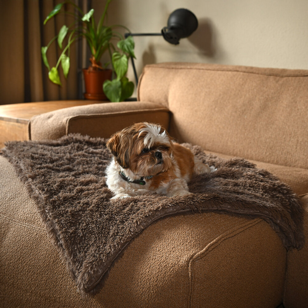 Dogs&amp;Co Fluffy Hondendeken 100x75 cm Khaki bruin