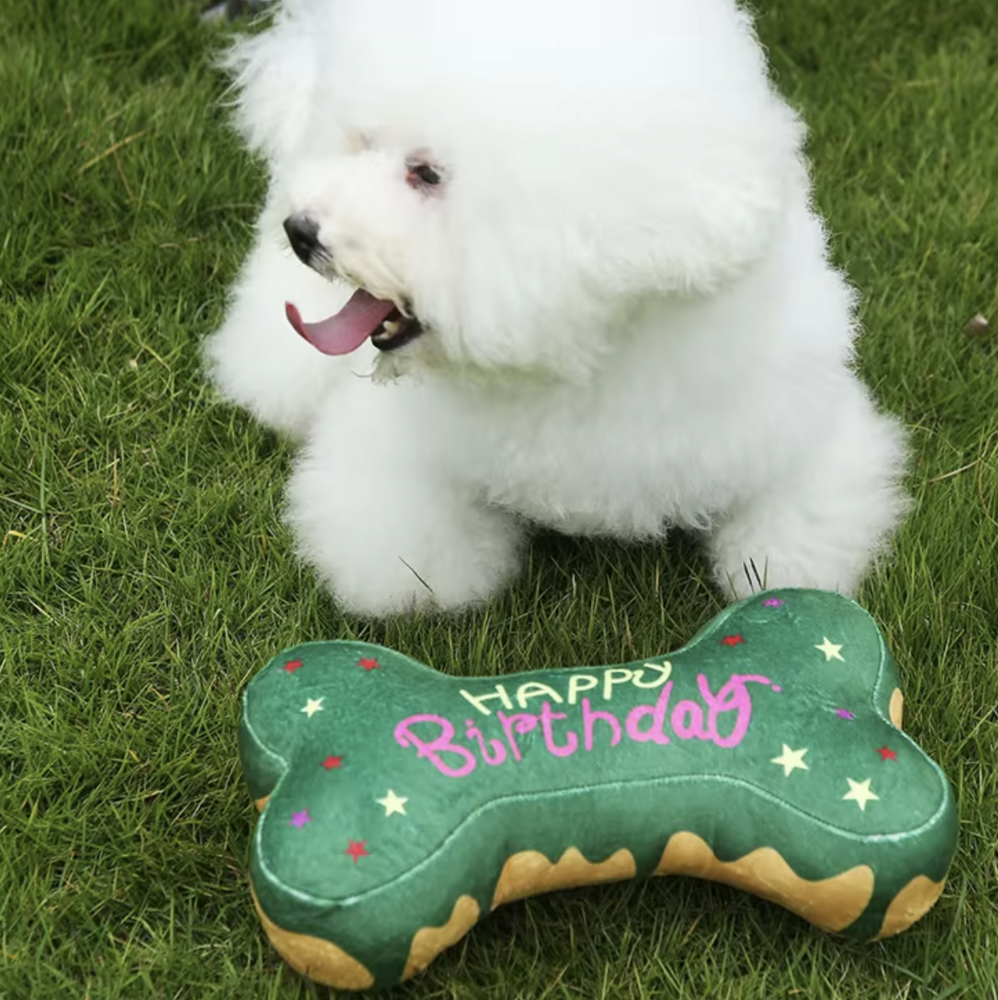 Happy Birthday Bone 25cm Groen