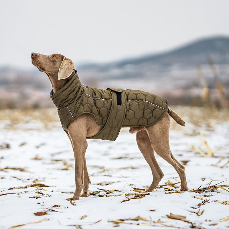 Dogs&amp;Co&reg; Honden Winterjas Army Groen