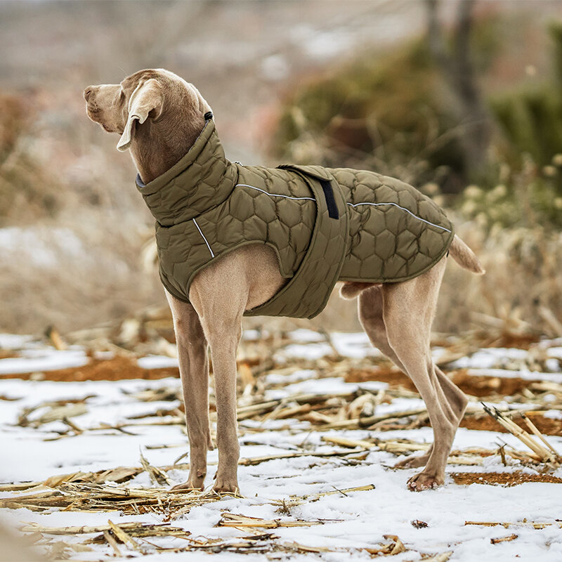 Dogs&amp;Co&reg; Honden Winterjas Army Groen
