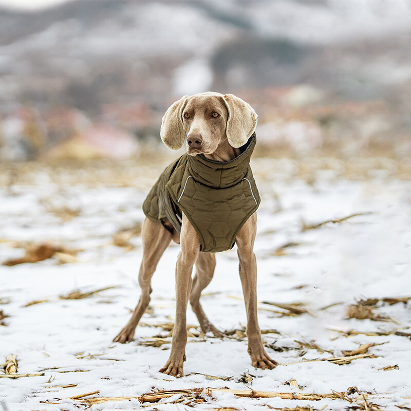 Dogs&amp;Co&reg; Honden Winterjas Army Groen