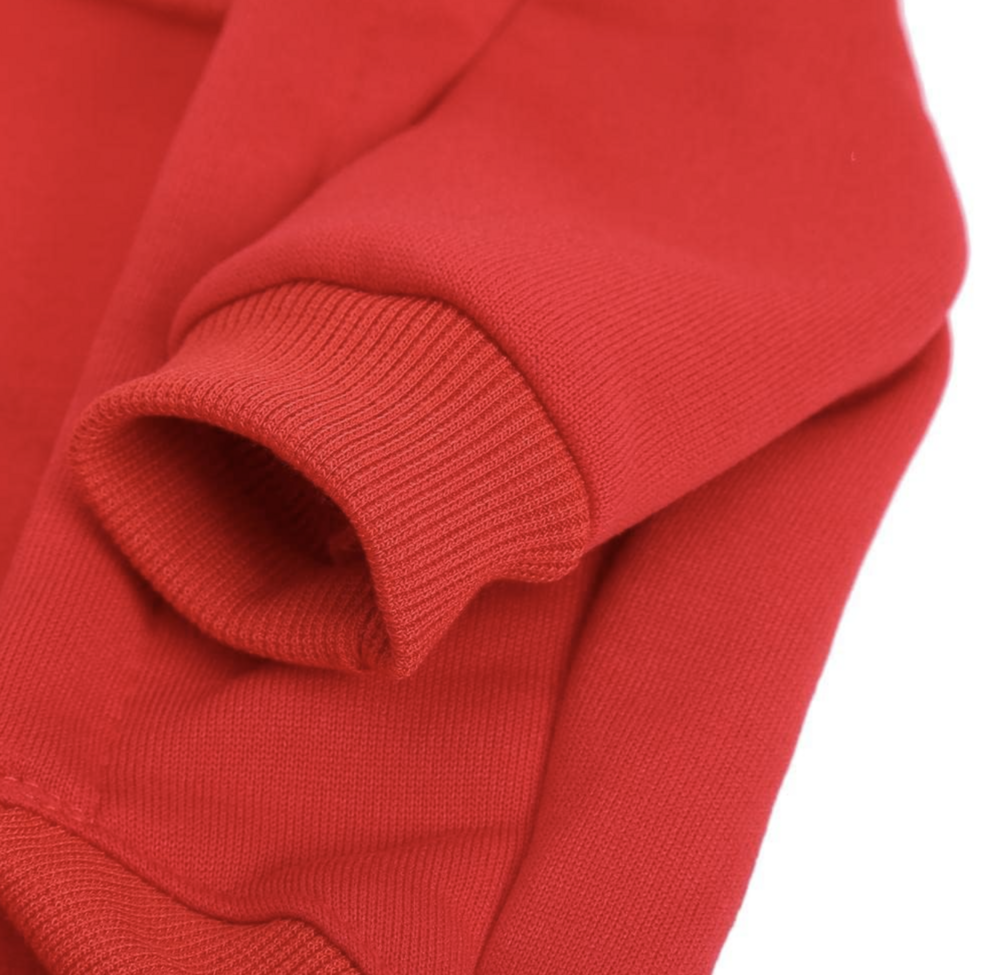 Honden Kerst Hoodie Rood -  Rudolf Light