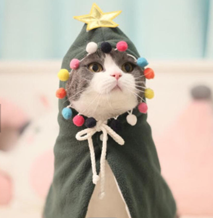 Kerstponcho Groen voor kleinehond of kat