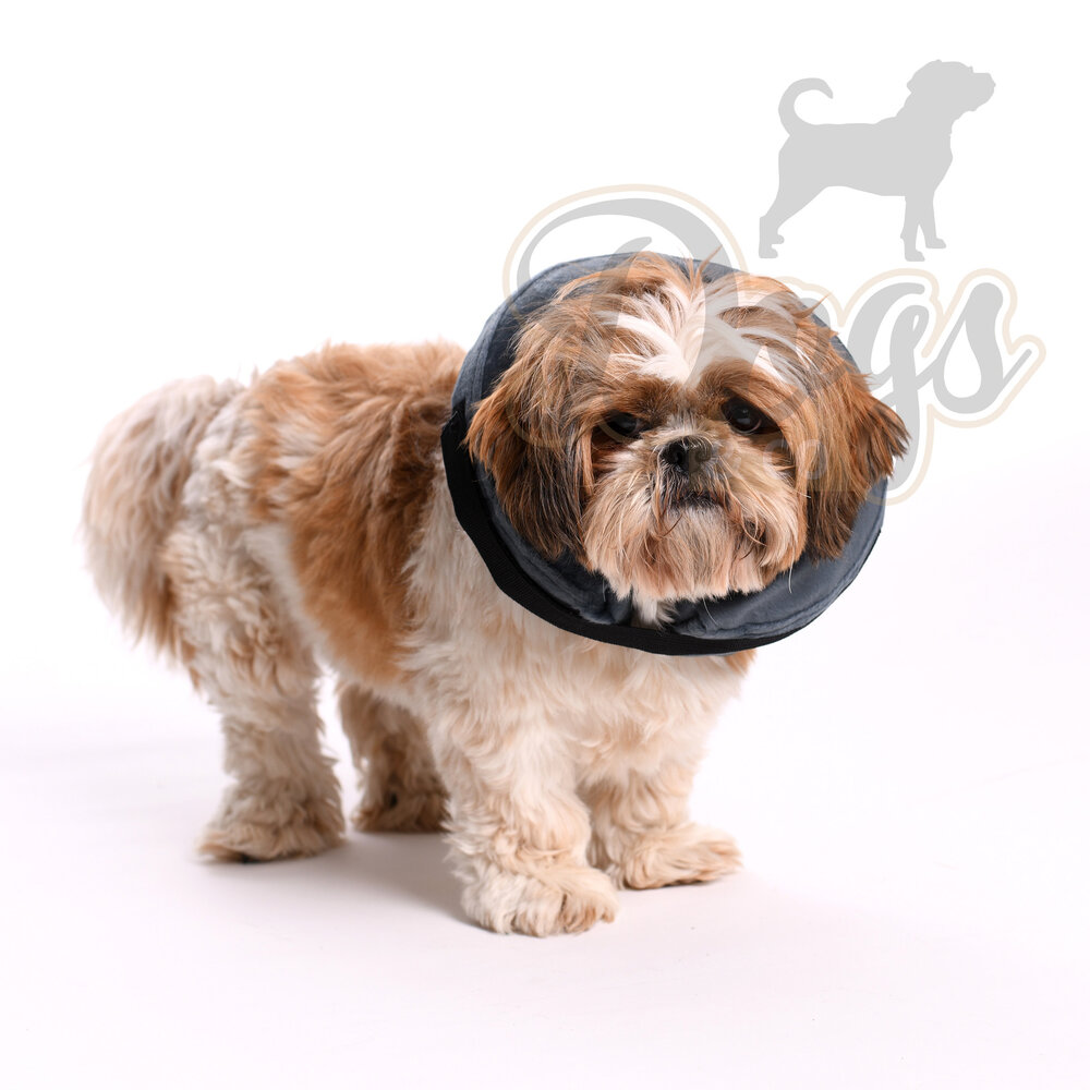 Beschermkraag opblaasbaar Grijs