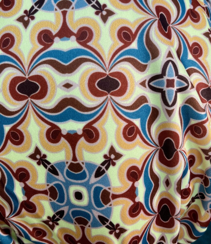 Dogs&amp;Co&reg; Loopsheidbroekje RETRO print