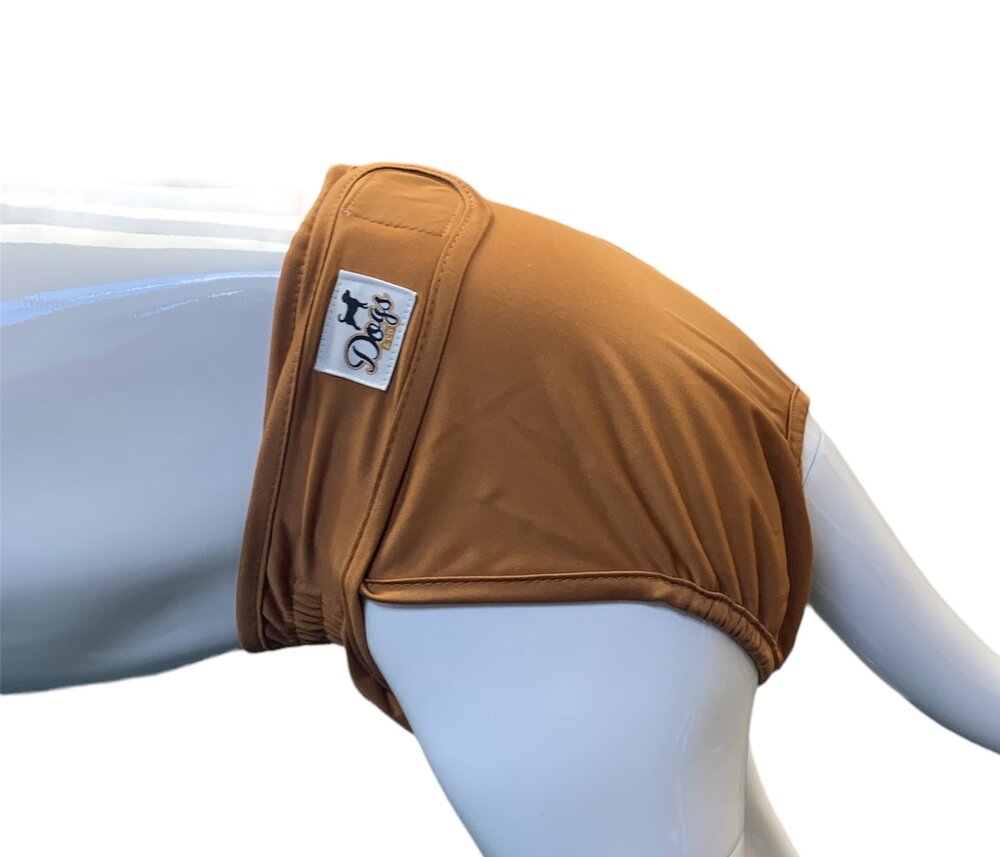 Dogs&amp;Co&reg; Loopsheidbroekje Beige - Diverse maten