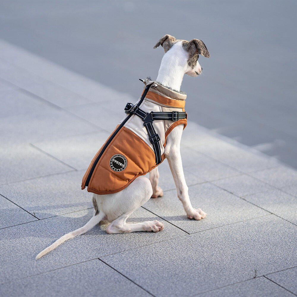 Dogs&amp;Co Warme  Hondenjas Okergeel  2026 model 