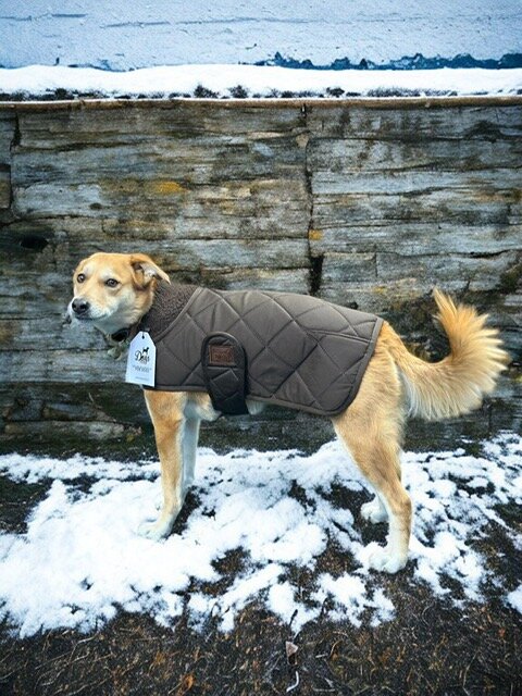 Dogs&amp;Co&reg; Honden Winterjas Bruin Quilt