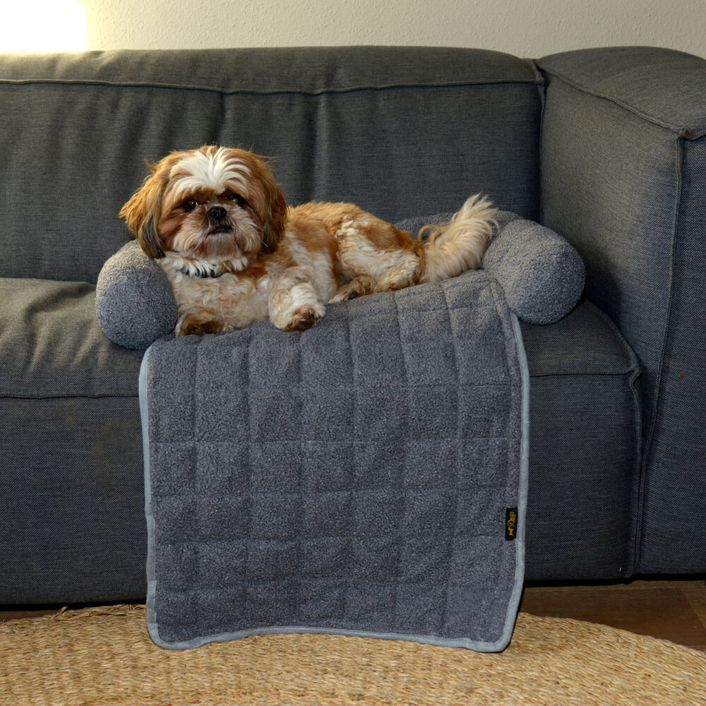 Dogs&amp;Co Autostoel beschermer  Grijs incl autogordel