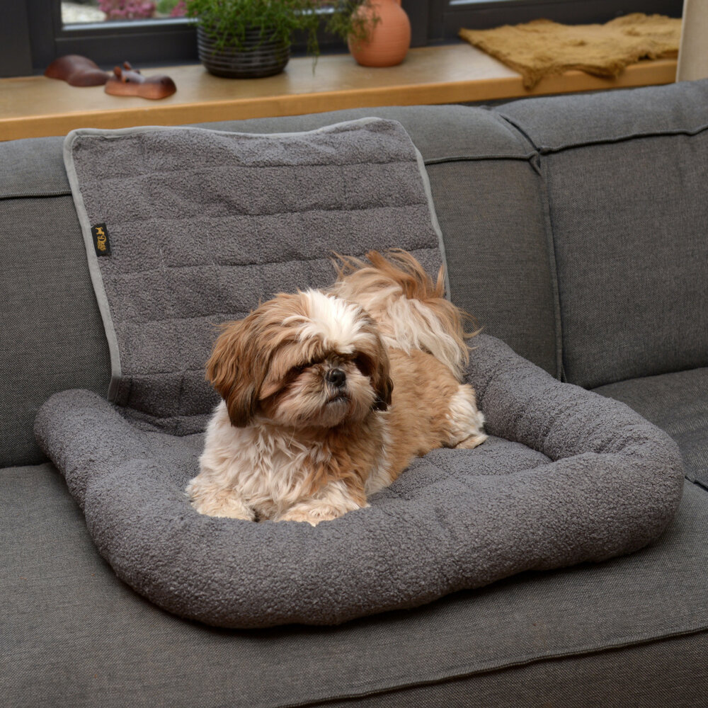 Dogs&amp;Co Autostoel beschermer  Grijs incl autogordel