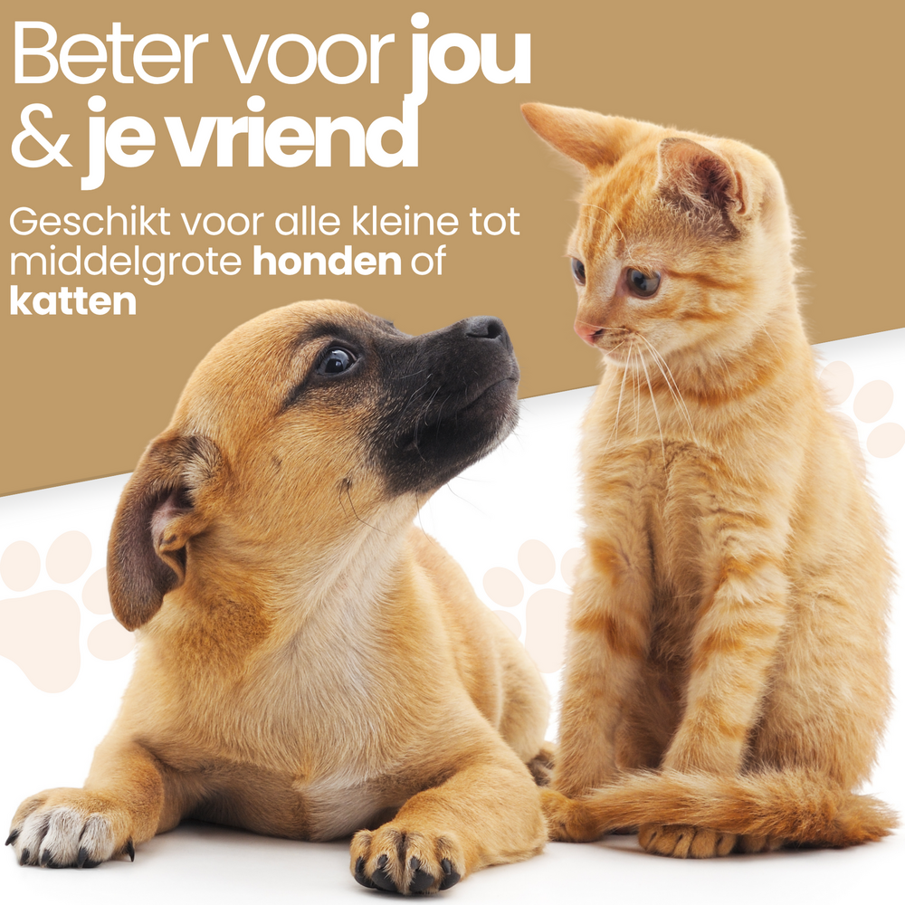 Dogs&amp;Co Autostoel beschermer Groen Boucle incl autogordel