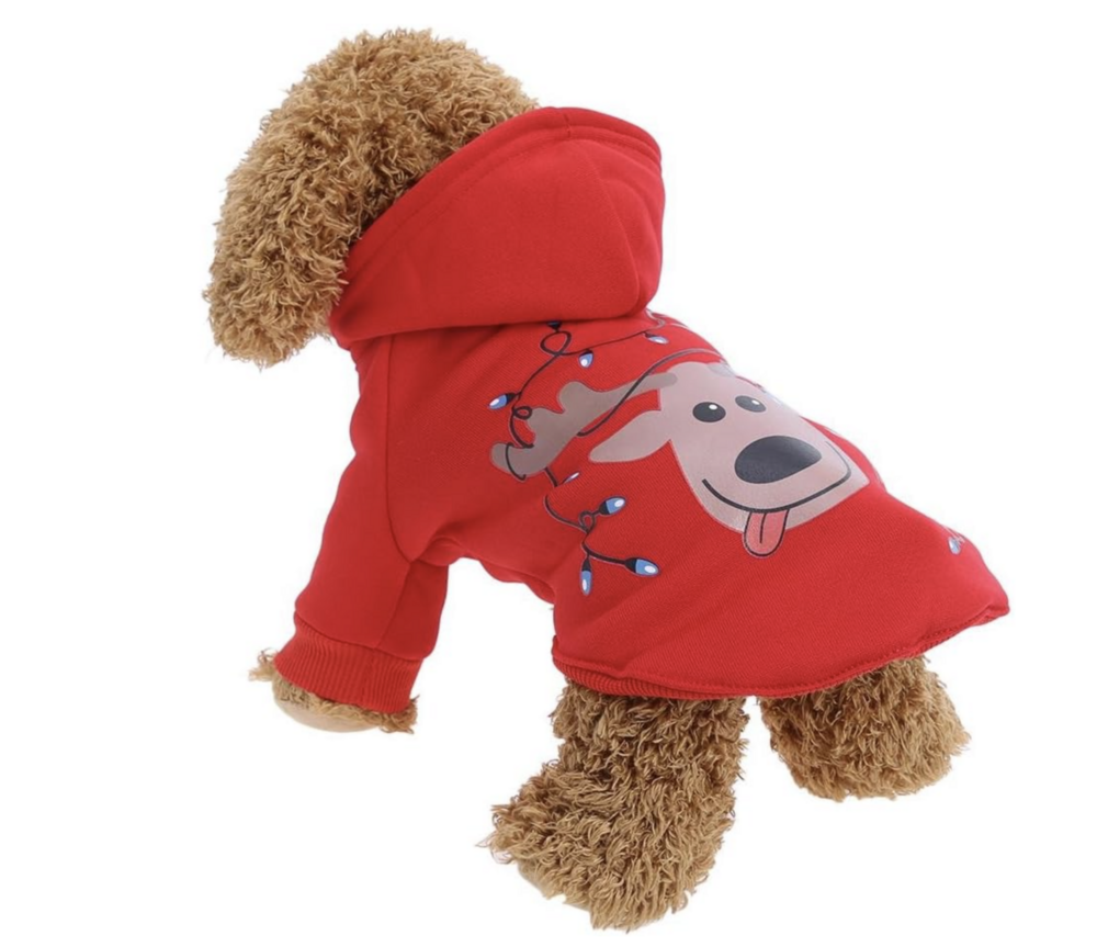 Honden Kerst Hoodie Rood -  Rudolf Light