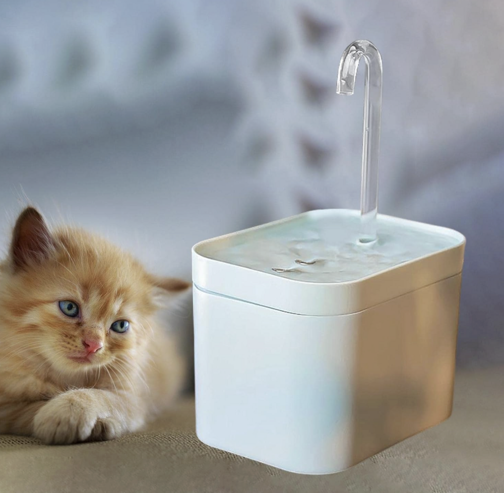 Drinkfontein Kat Wit