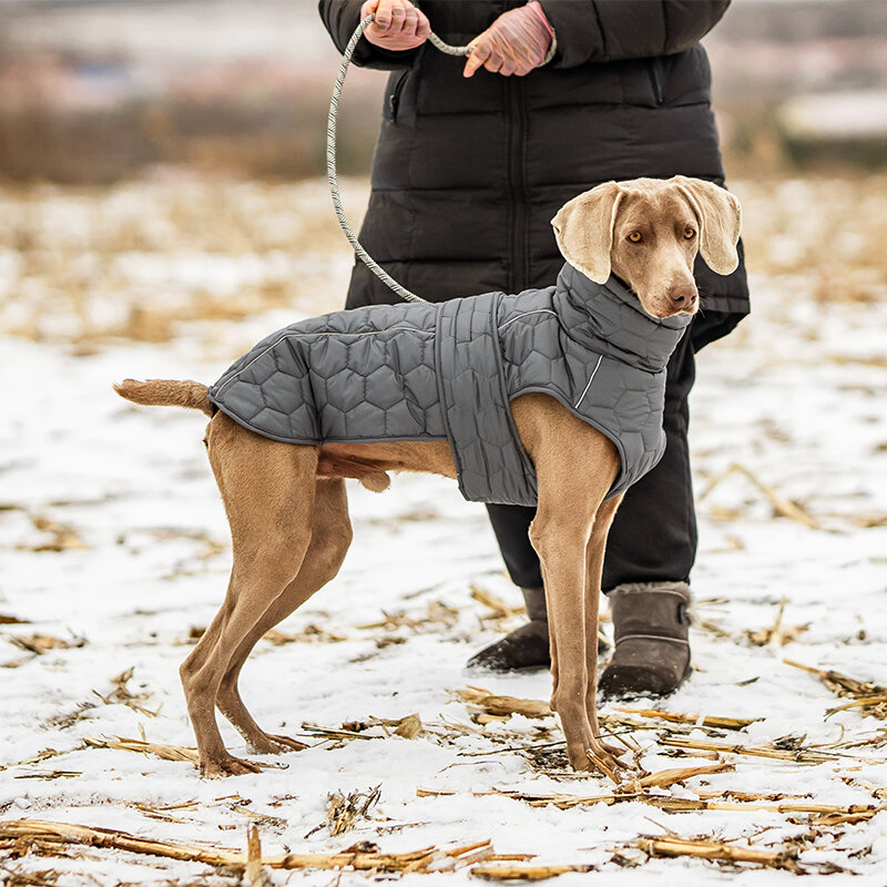 Dogs&amp;Co&reg; Honden Winterjas Grijs Quilt voor grotere honden 