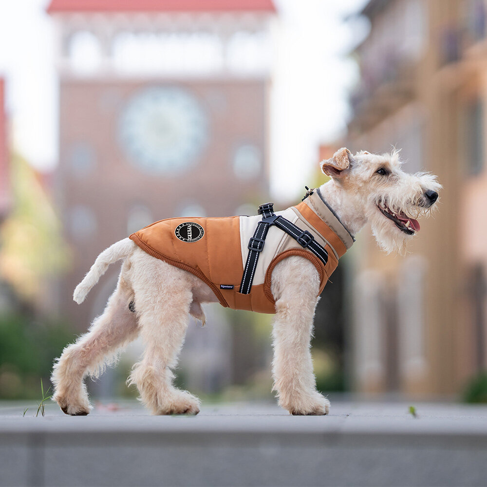 Dogs&amp;Co Warme  Hondenjas Okergeel  2026 model 