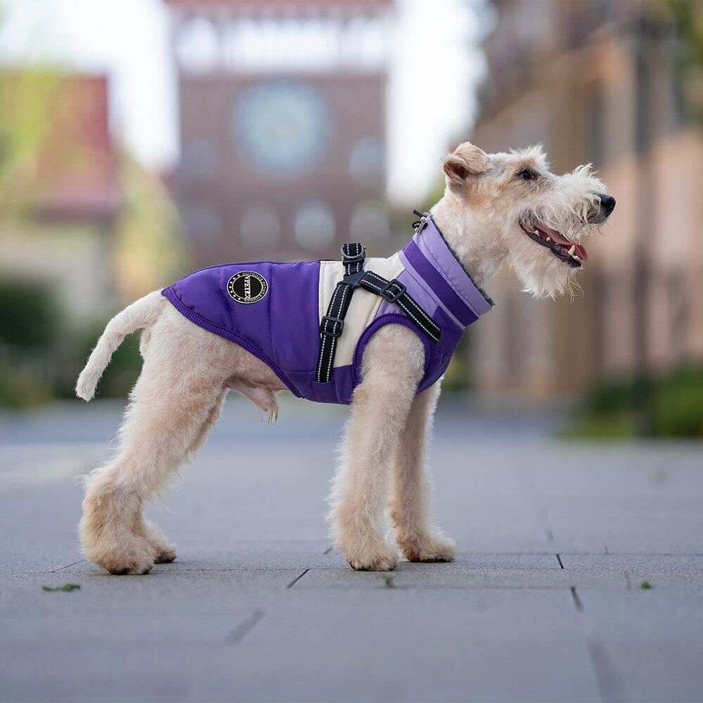 Dogs&amp;Co Warme  Hondenjas Paars 2026 model 