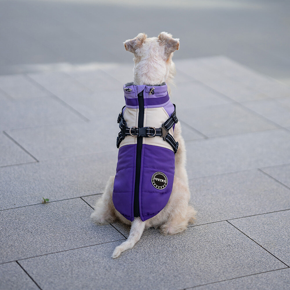 Dogs&amp;Co Warme  Hondenjas Paars 2026 model 