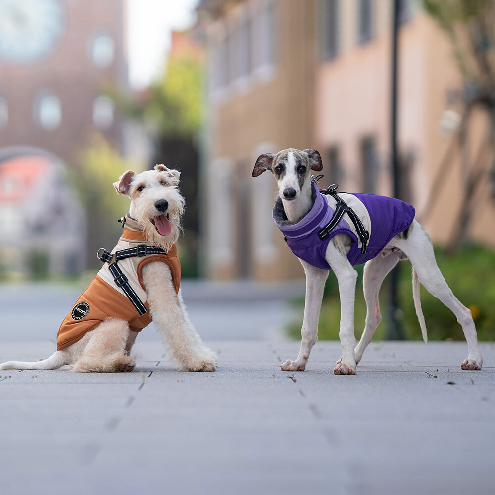 Dogs&amp;Co Warme  Hondenjas Paars 2026 model 