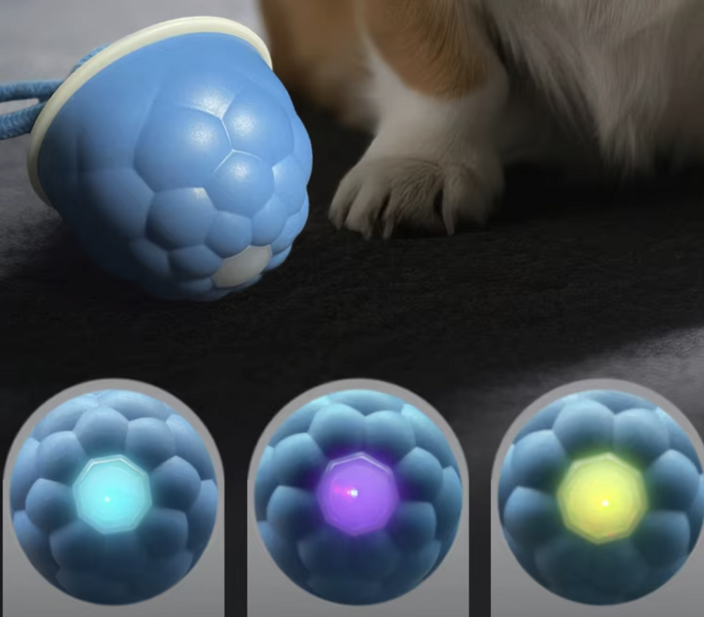 Interactieve Speelbal voor Honden | Automatisch Hondenspeelgoed Blauw