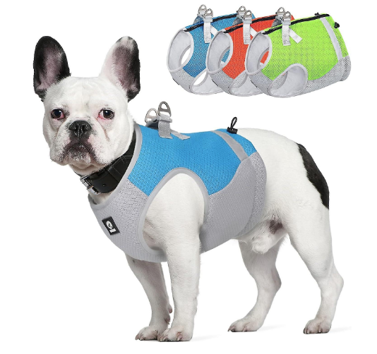 Dogs&amp;Co&reg; Verkoelend hondenvest Harnas Geel 