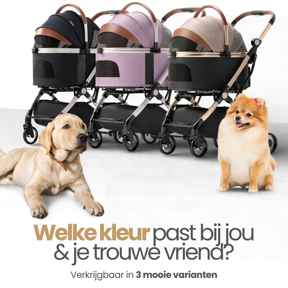 Dogs&amp;Co&reg; Hondenbuggy Deluxe Zwart - Opvouwbaar - Premium banden - RVS - Hond &amp; Kat - Hondenwagen - Huisdierenwagen