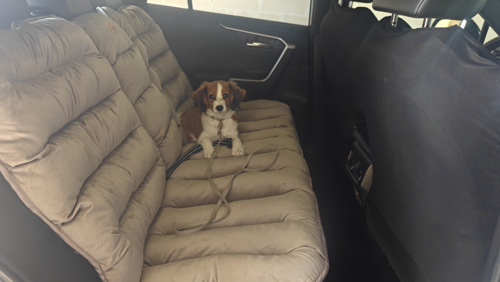 Dogs&amp;Co&reg; Luxe Bankbeschermer voor in de auto GRIJS