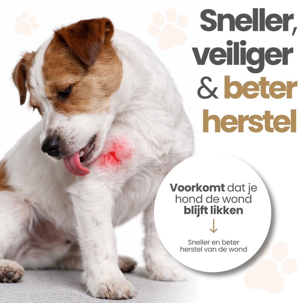 Dogs&amp;Co&reg; Herstelpak - Voorpoot beschermer