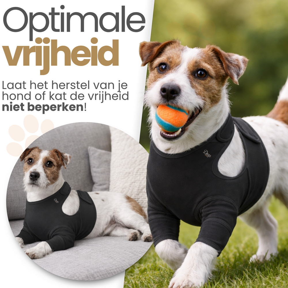 Dogs&amp;Co&reg; Herstelpak - Voorpoot beschermer
