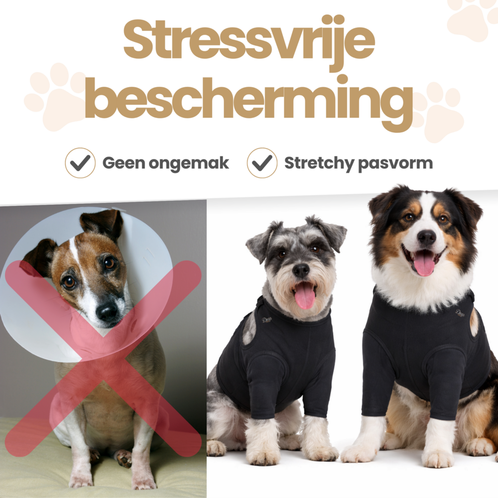 Dogs&amp;Co&reg; Herstelpak - Voorpoot beschermer