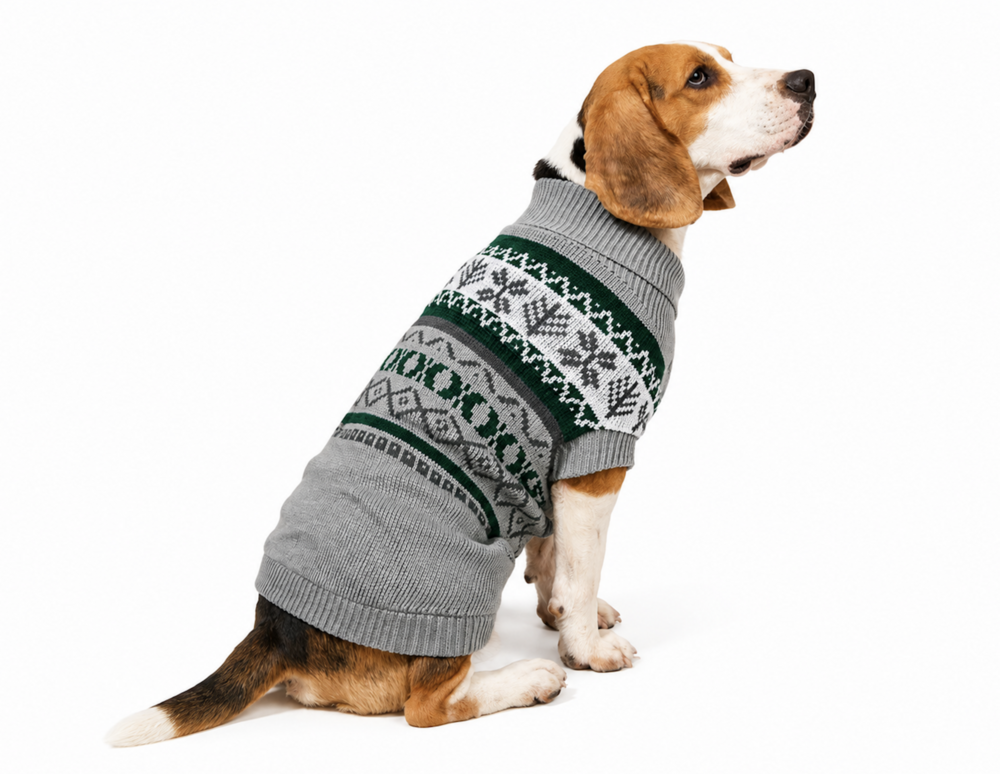 Hondentrui Gebreid Grijs &amp; Groen &ndash; Warme Honden Trui